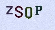 Visual Confirmation Security Code