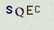Visual Confirmation Security Code