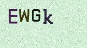 Visual Confirmation Security Code