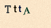 Visual Confirmation Security Code