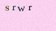 Visual Confirmation Security Code