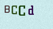 Visual Confirmation Security Code