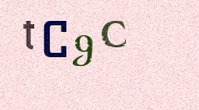 Visual Confirmation Security Code