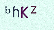 Visual Confirmation Security Code