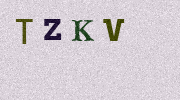 Visual Confirmation Security Code