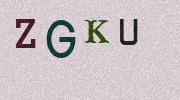Visual Confirmation Security Code