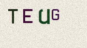 Visual Confirmation Security Code