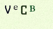 Visual Confirmation Security Code