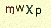 Visual Confirmation Security Code
