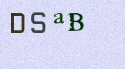 Visual Confirmation Security Code
