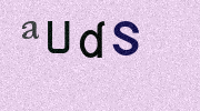 Visual Confirmation Security Code
