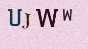 Visual Confirmation Security Code
