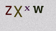 Visual Confirmation Security Code