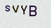 Visual Confirmation Security Code