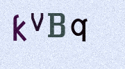 Visual Confirmation Security Code