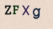 Visual Confirmation Security Code