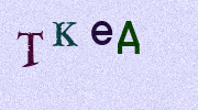 Visual Confirmation Security Code