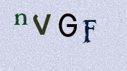 Visual Confirmation Security Code