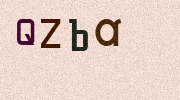 Visual Confirmation Security Code