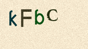 Visual Confirmation Security Code