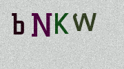 Visual Confirmation Security Code
