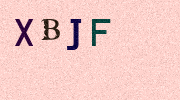 Visual Confirmation Security Code