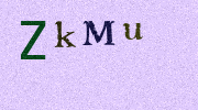 Visual Confirmation Security Code
