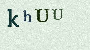Visual Confirmation Security Code