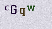 Visual Confirmation Security Code