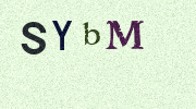 Visual Confirmation Security Code