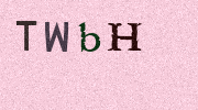 Visual Confirmation Security Code