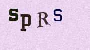 Visual Confirmation Security Code