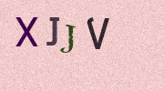 Visual Confirmation Security Code