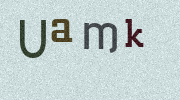 Visual Confirmation Security Code