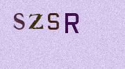 Visual Confirmation Security Code