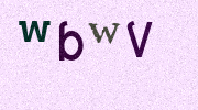 Visual Confirmation Security Code
