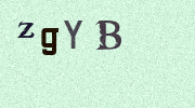Visual Confirmation Security Code