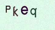 Visual Confirmation Security Code