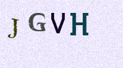 Visual Confirmation Security Code