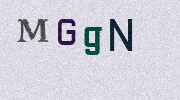 Visual Confirmation Security Code