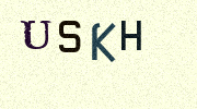 Visual Confirmation Security Code