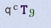 Visual Confirmation Security Code