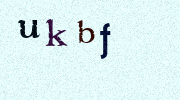 Visual Confirmation Security Code