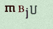Visual Confirmation Security Code