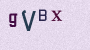Visual Confirmation Security Code