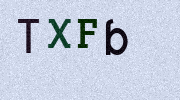 Visual Confirmation Security Code