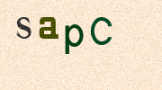 Visual Confirmation Security Code