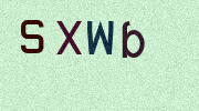 Visual Confirmation Security Code