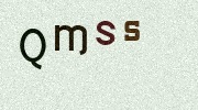 Visual Confirmation Security Code