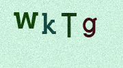 Visual Confirmation Security Code